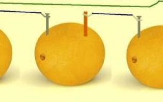 Гальванический элемент своими руками